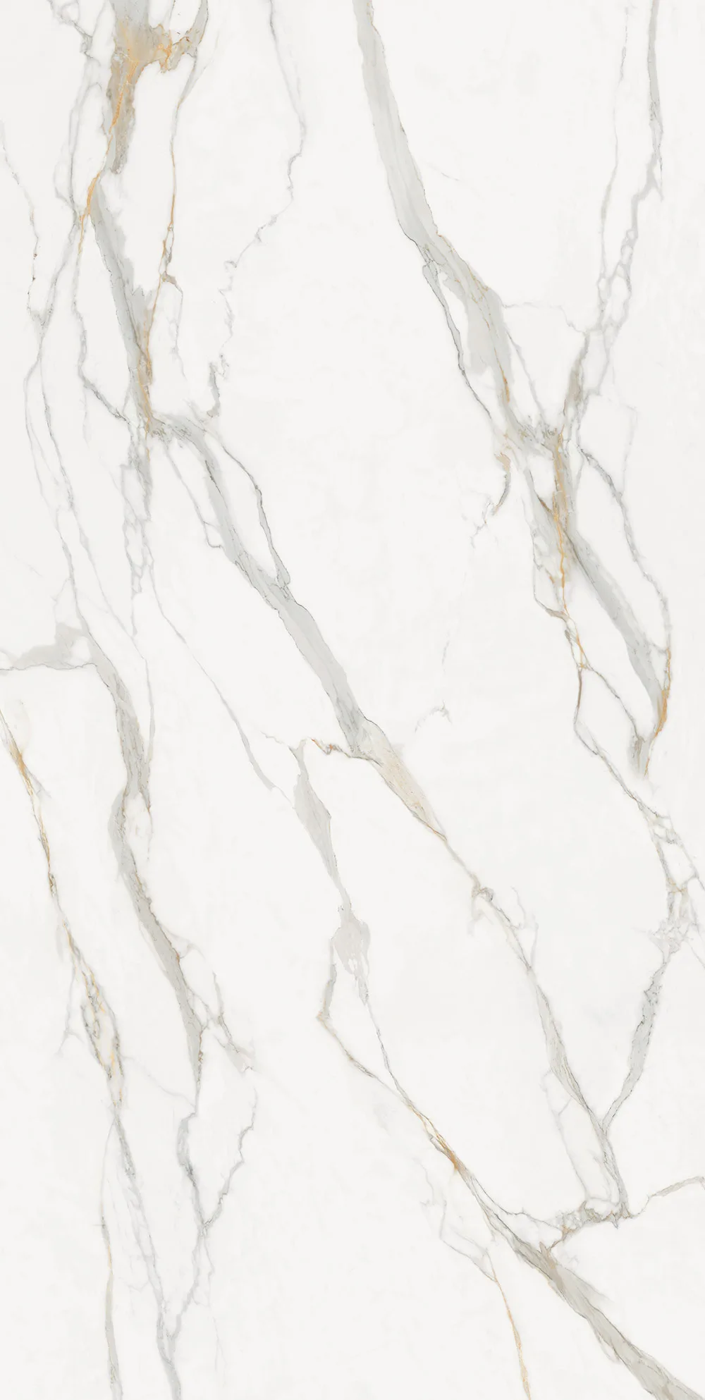 Calacatta Oro porcelain slab — warm gold veining flowing across an ivory ground.